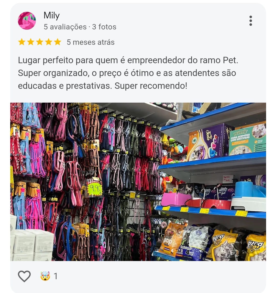 Avaliação 5 estrelas de Mily no Google